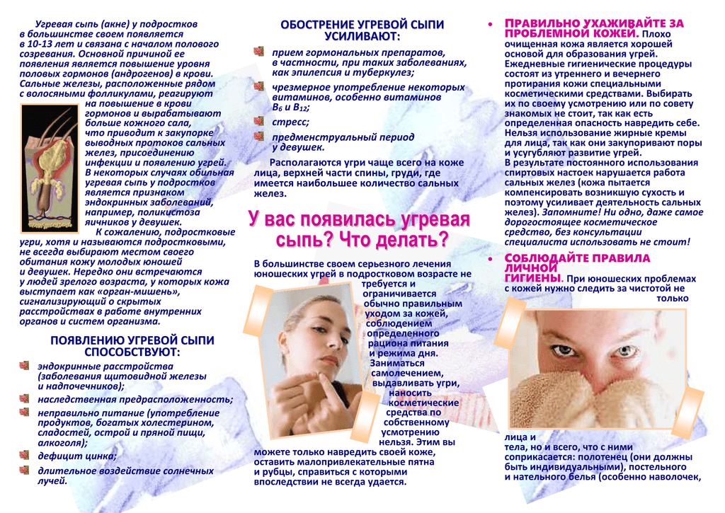 Акне у кошек: на подбородке, лечение в домашних условиях