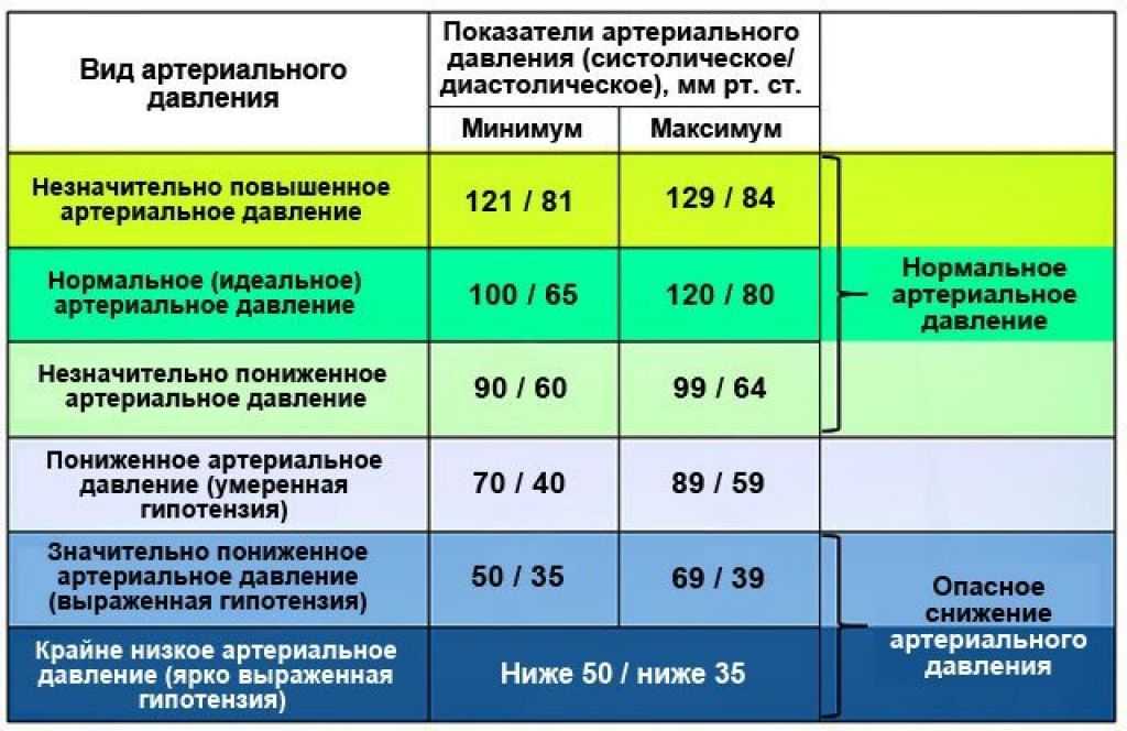 Давление у собаки: норма, как измерить дома, причины повышенного или пониженного давления