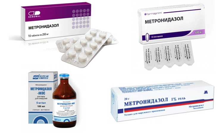 Можно ли давать антибиотики кошкам: побочные действия, противопоказания. применение человеческих антибиотиков для кошек. лучшие ветеринарные антибиотики для кошек.