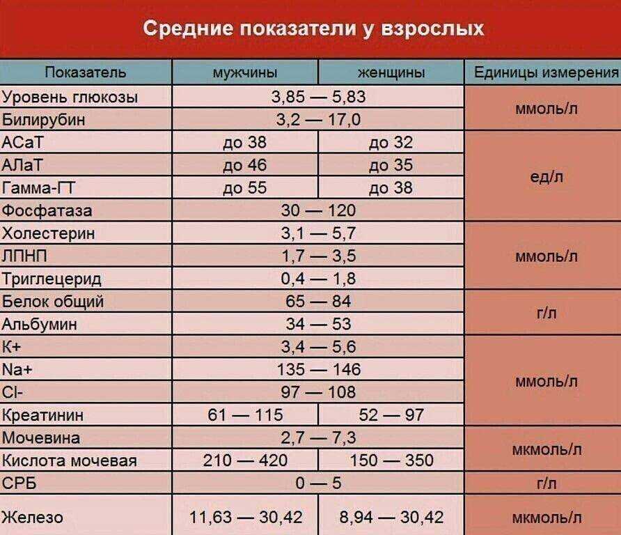 Общий анализ крови у собак - в каких случаях берется, как подготовить питомца, что означают основные показатели анализа