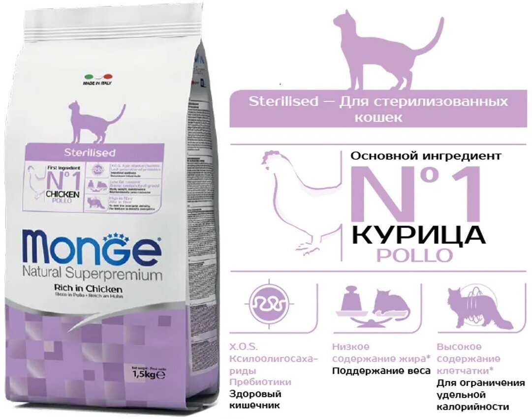 Можно ли давать котенку детское питание?
