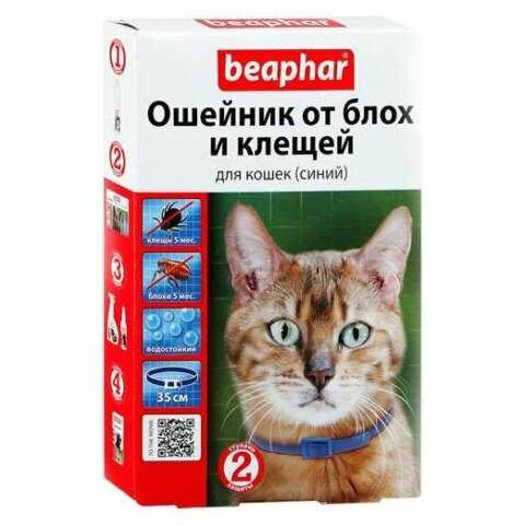 Поводок для кошки: виды, плюсы и минусы, советы по выбору и изготовлению кошачьего поводка своими руками
