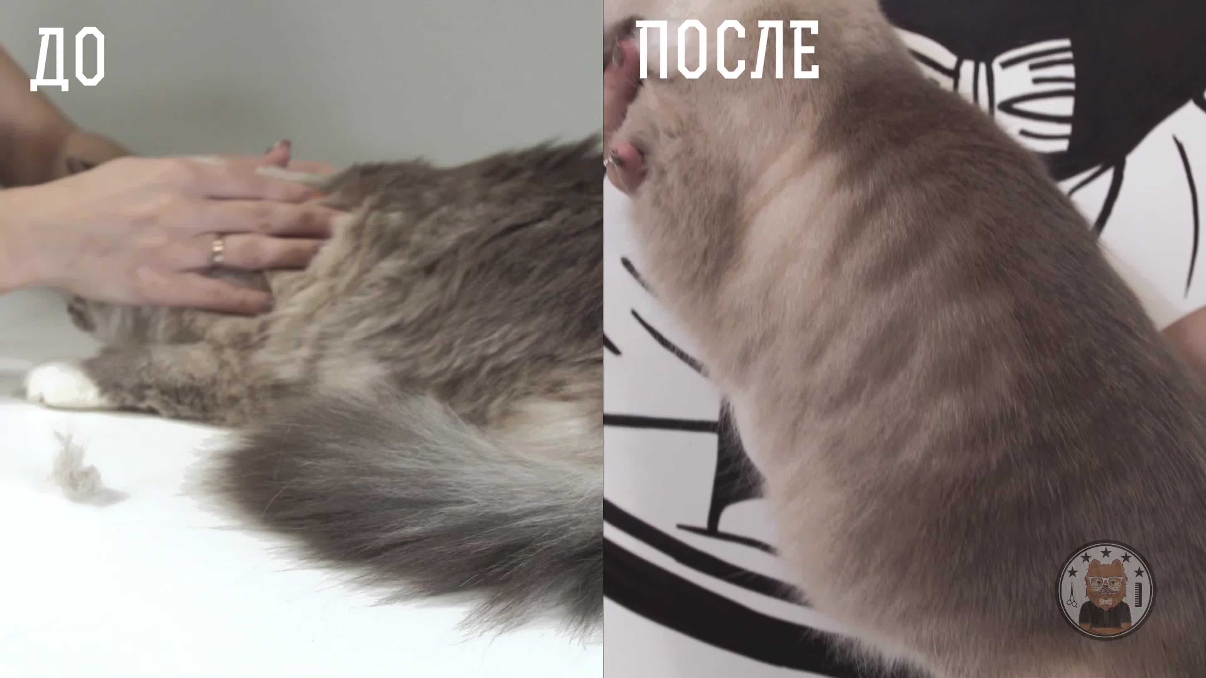 Экспресс - линька: дневник пользователя ulitocka