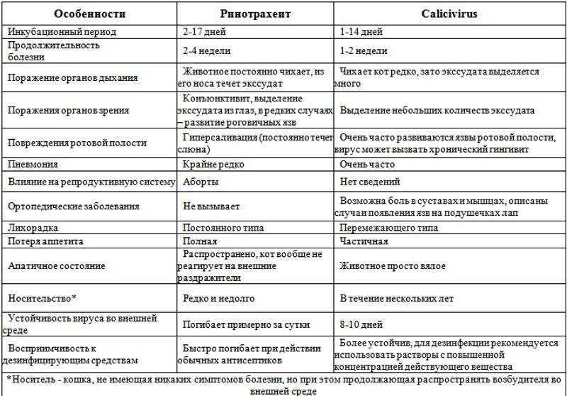 Кот мяукает и вылизывает пенис — сложные вопросы простые ответы