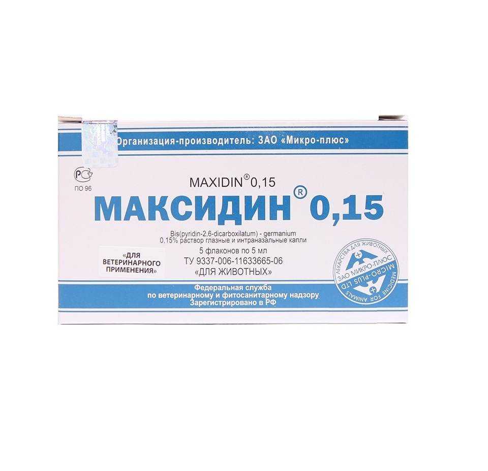 Максидин для кошек: инструкция по применению