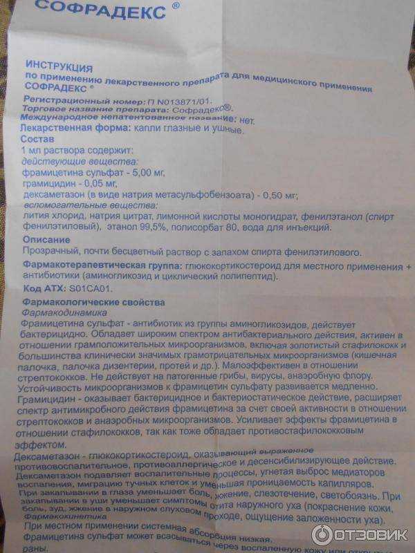 Препарат Софрадекс используется для лечения котов в том числе Средство показано при глазных и ушных заболеваниях по капле в день 3 раза в сутки отличается хорошей эффективностью и переносимостью
