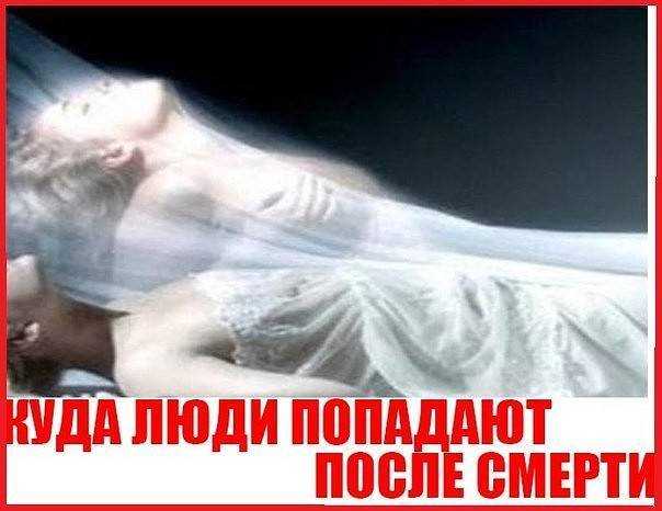 Куда попадает душа кошки после смерти и что с ней происходит на самом деле