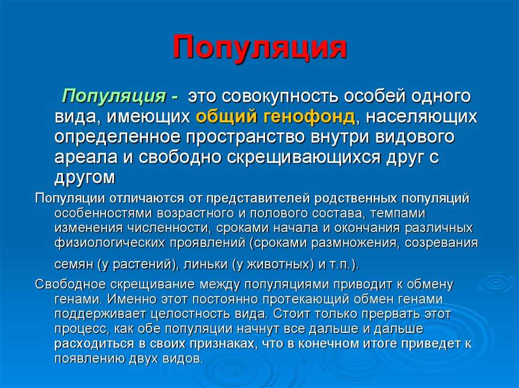 Хищничество кошек в дикой природе - frwiki.wiki