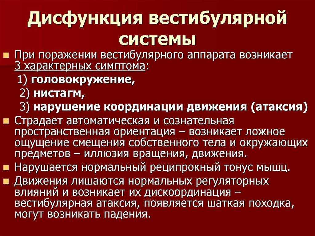 Вестибулярный синдром у собак - симптомы и лечение
