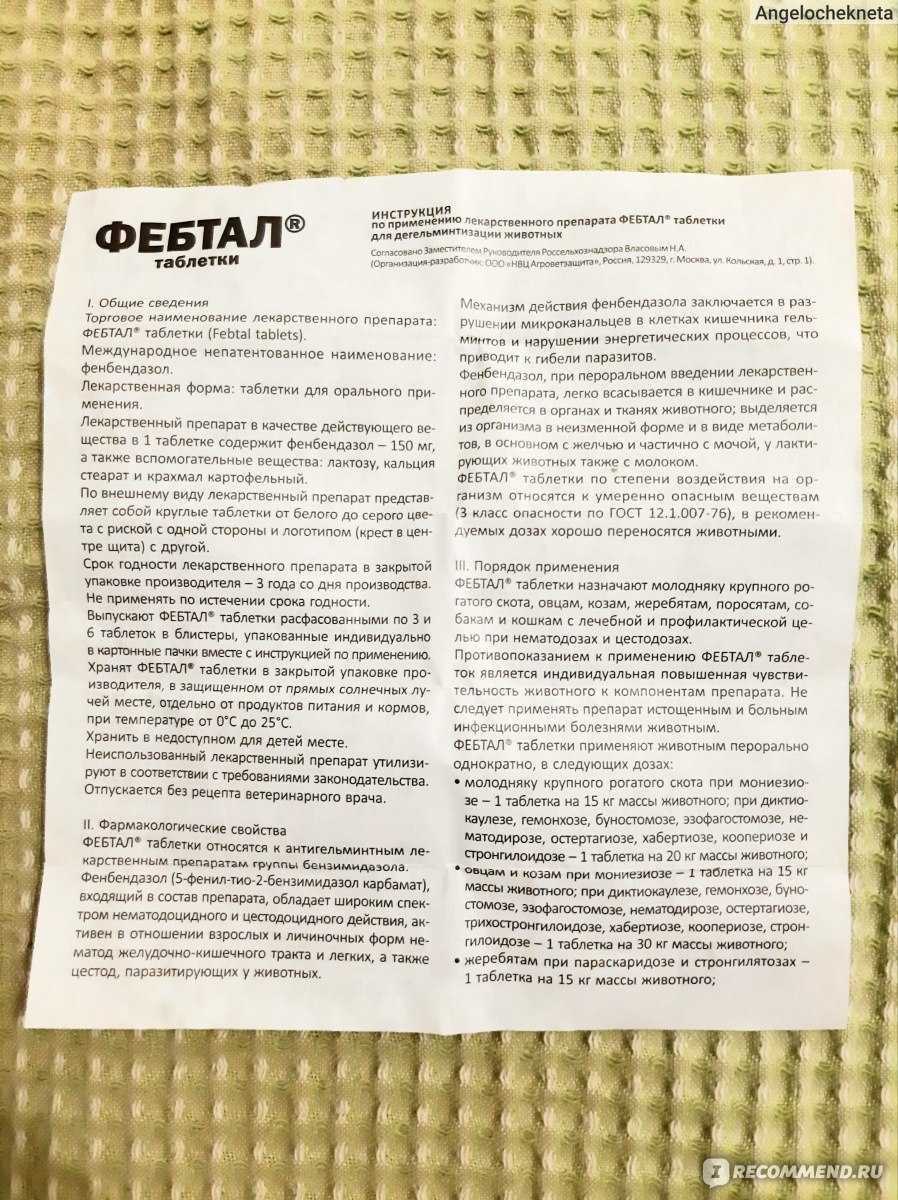 Фебтал и фебтал комбо для кошек и собак: инструкция по применению