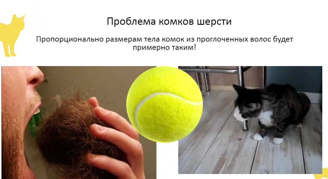 Кошка не может отрыгнуть шерсть, что делать в домашних условиях