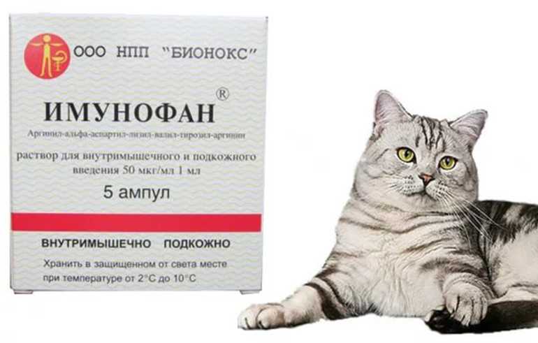 Состав форма выпуска и условия хранения Имунофана Показания противопоказания и принцип действия Особенности применения у кошек Аналоги и отзывы