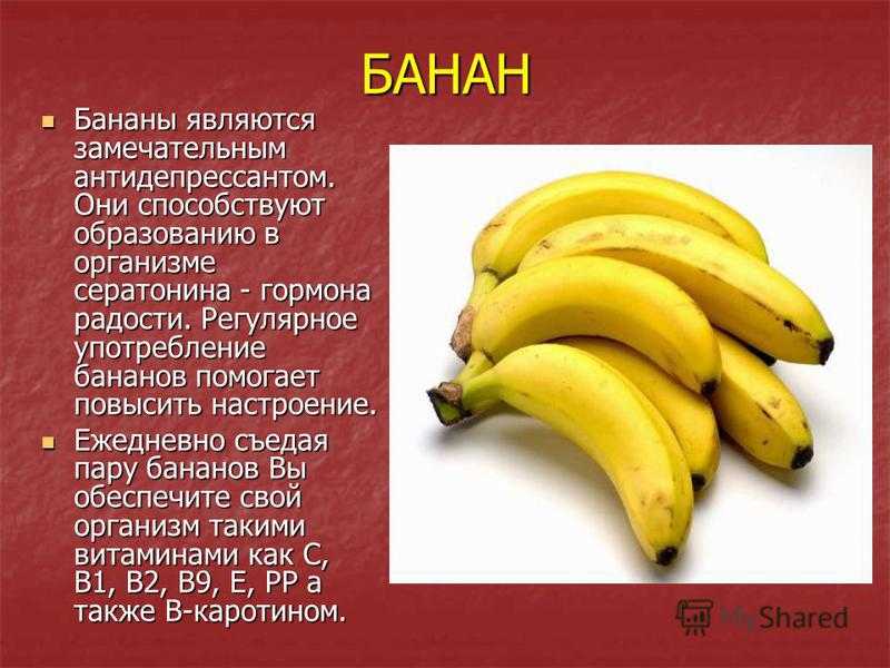 Можно ли собаке бананы – советы ветеринаров?  - kupipet.ru