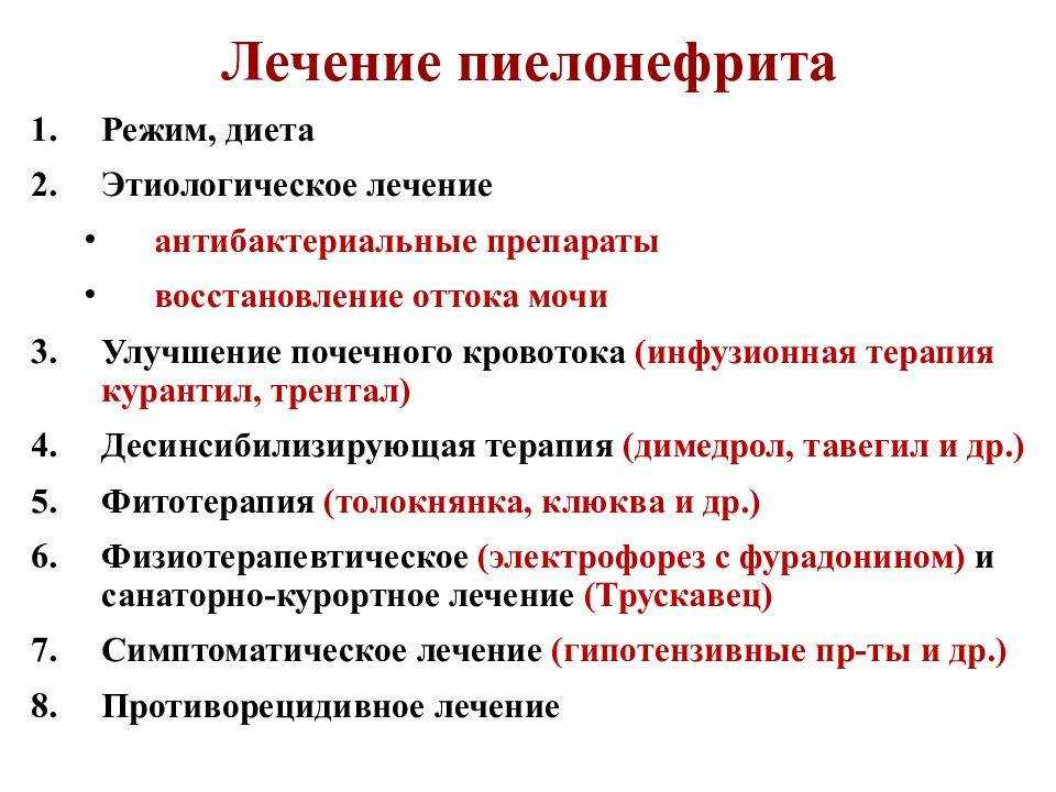 Пиелонефрит у собак: симптомы и лечение, причины и формы заболевания, диагностика, профилактика