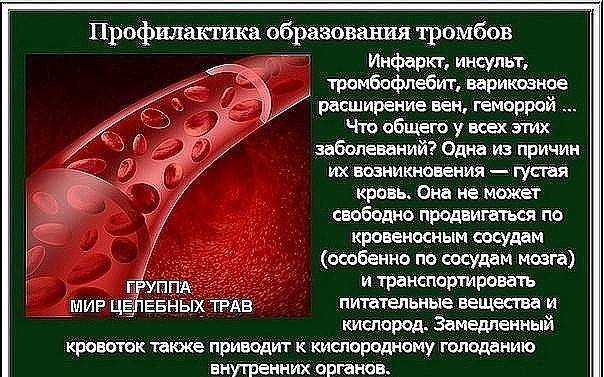 Почему кошка пьет много воды?