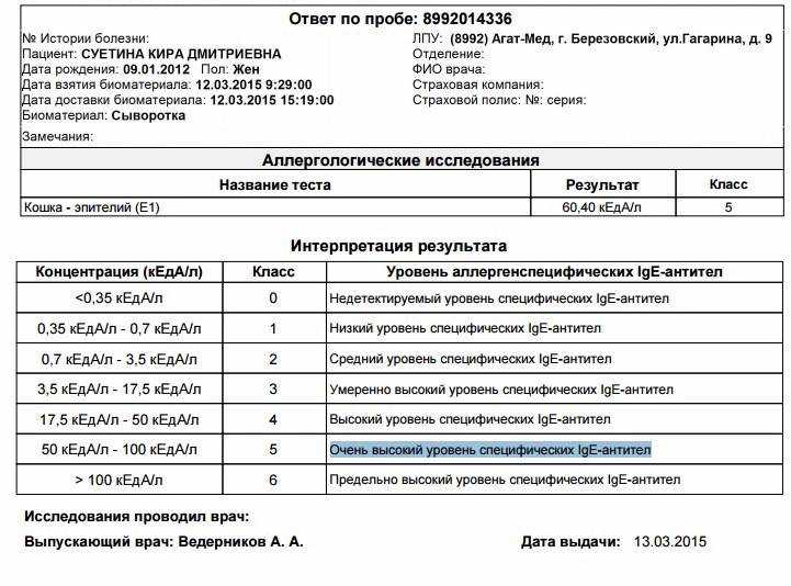 Как проявляется аллергия на корм у кошек?