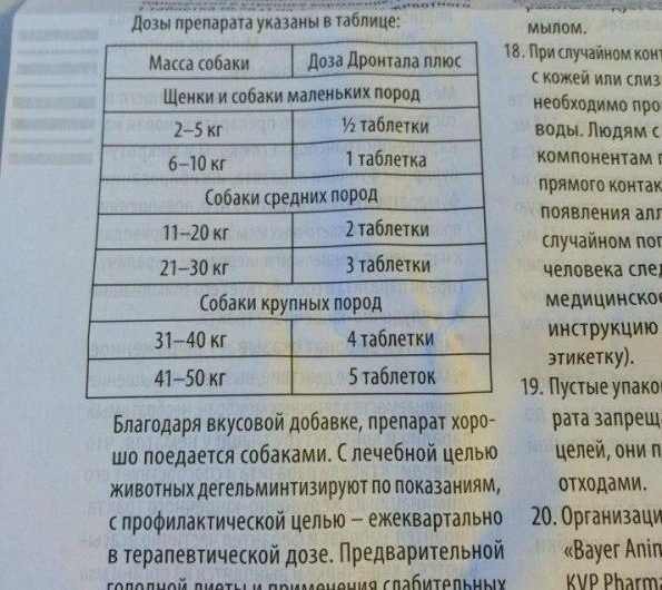 Антигистаминные препараты для лечения котов и кошек
