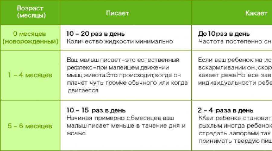 Сколько раз в день должен писать кот?