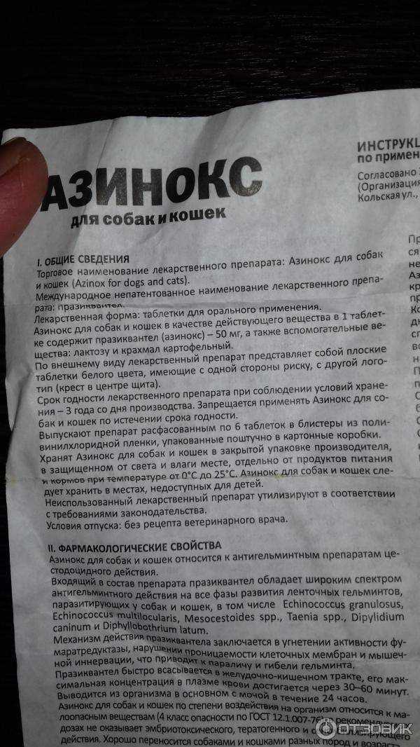 Как пользоваться препаратом экзекан для кошек при хронических и воспалительных процессах