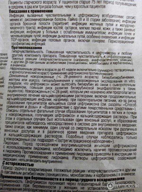 Цефтриаксон для кошек: способ применения, отзывы и дозировка
