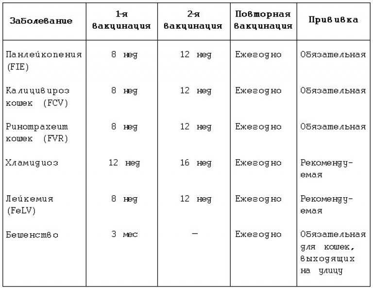 Прививки кошкам и котятам: правила и график вакцинации кошек, первая и последующая прививки, подготовка и рекомендации владельцам