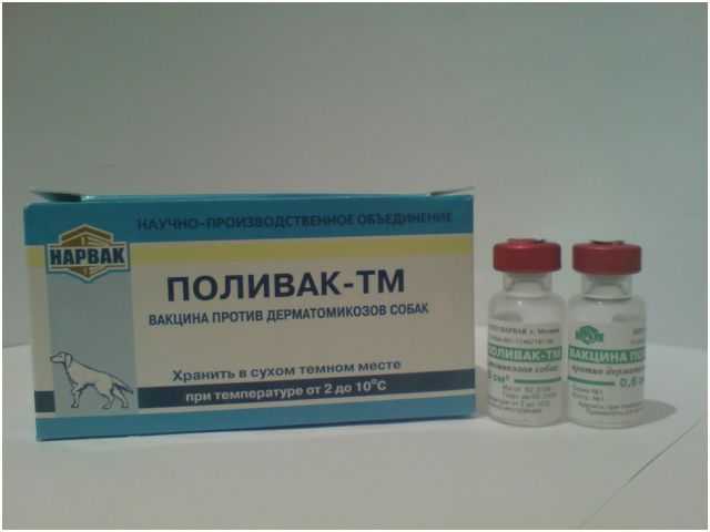 Поливак тм для кошек: инструкция по применению вакцины, отзывы