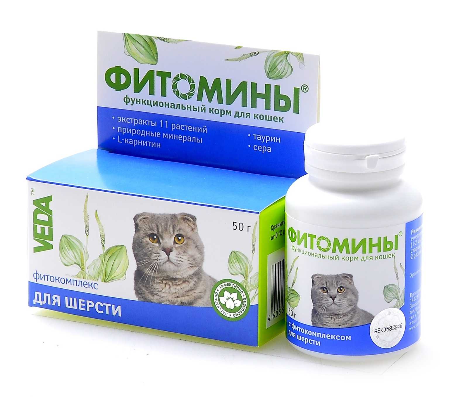 Витамины для котят: как улучшить здоровье вашего питомца
