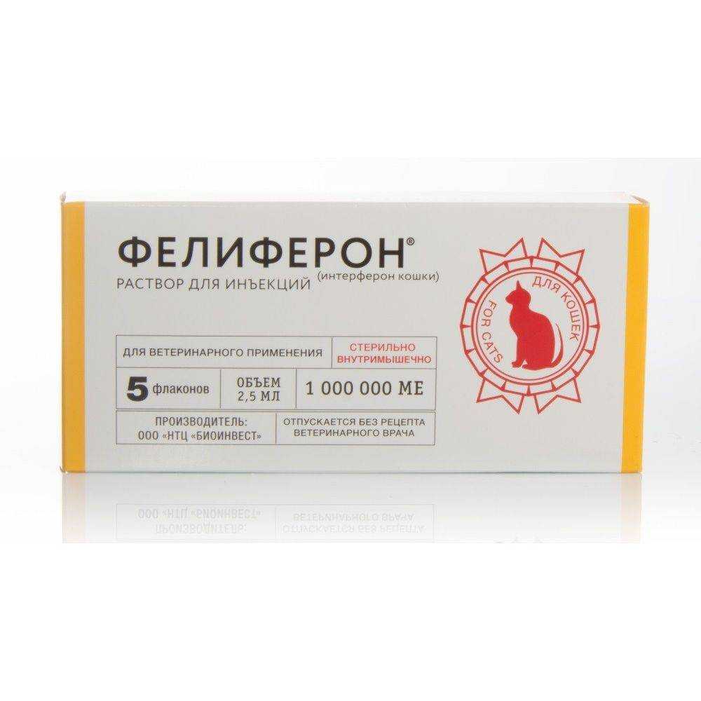 Фелиферон для кошек - инструкция по применению препарата