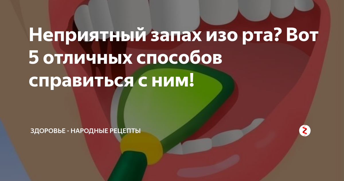 Слюни у кота с текущими прозрачными каплями как вода и с запахом изо рта: причины, диагностика и профилактика