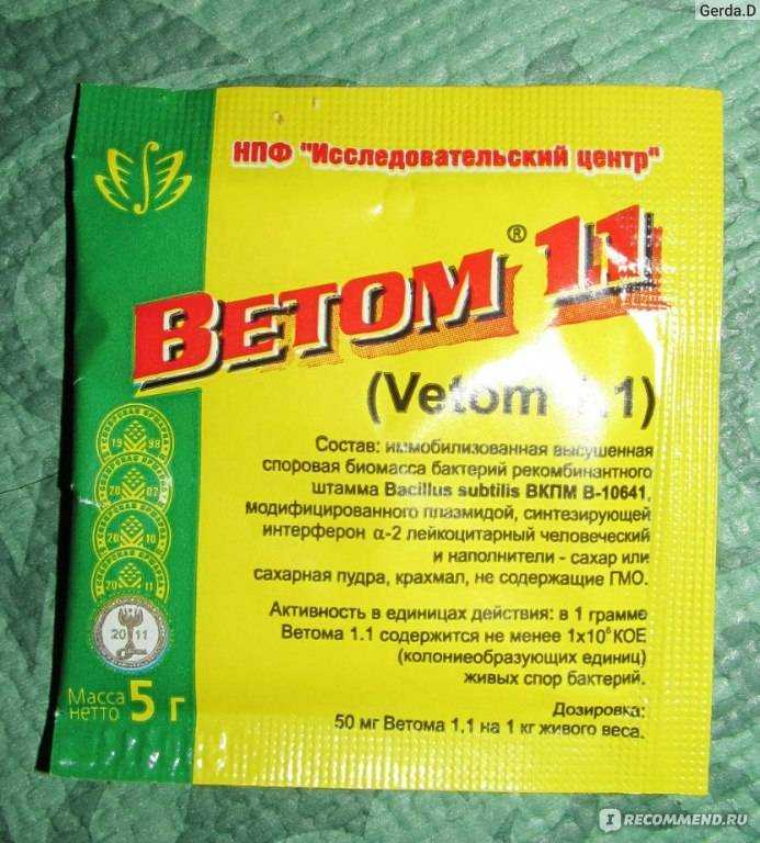 Инструкция по применению биодобавки «ветом» для лечения и профилактики заболеваний у котят и взрослых кошек