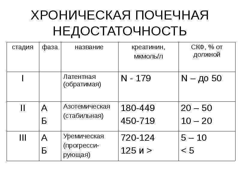 Болезни почек у кошек – симптомы, диагностика, методы лечения в зависимости от заболевания