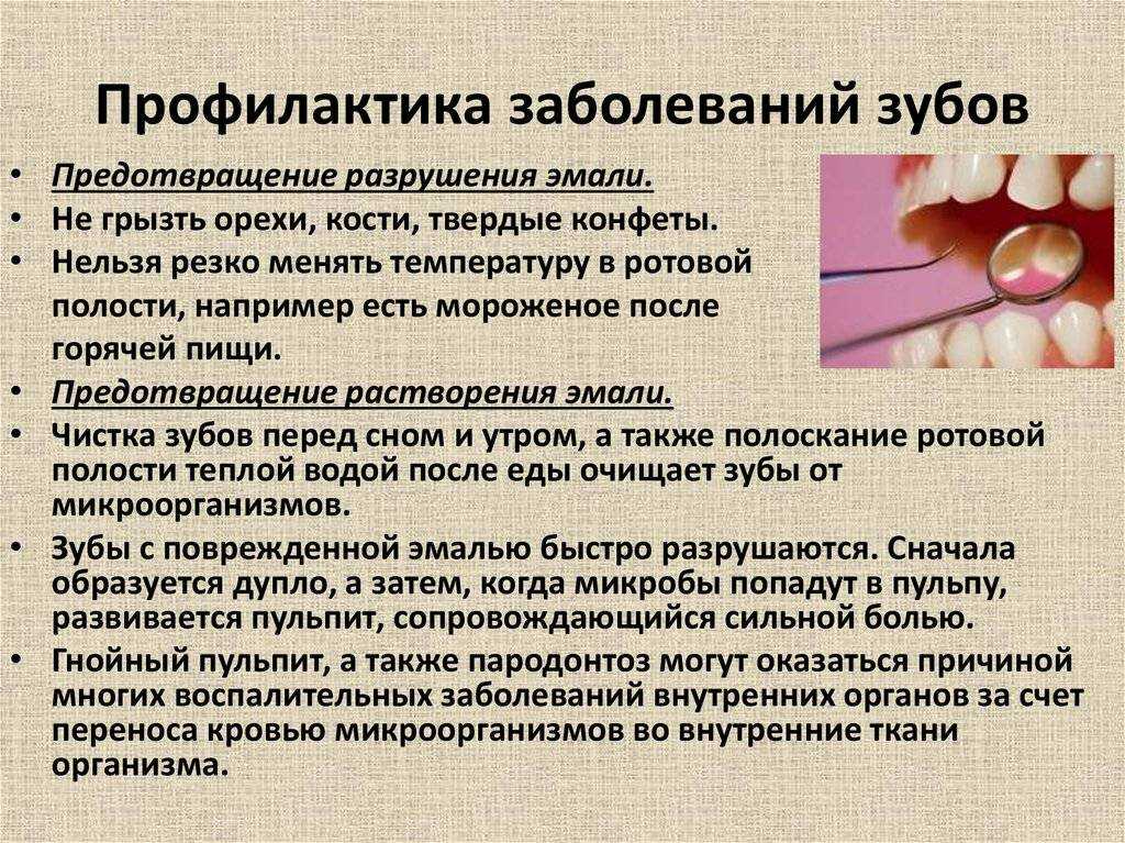 6 причин почему у кошек выпадают зубы - что делать, профилактика