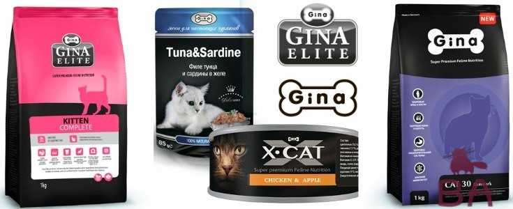 Обзор корма для кошек джина (gina): виды, состав, отзывы
