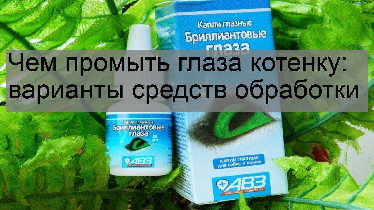 Чем промыть котенку. Средство для протирания глаз кошкам. Чем промывать глаза котятам. Чем можно промыть глаз коту. Чем можно промывать глаза кошке.