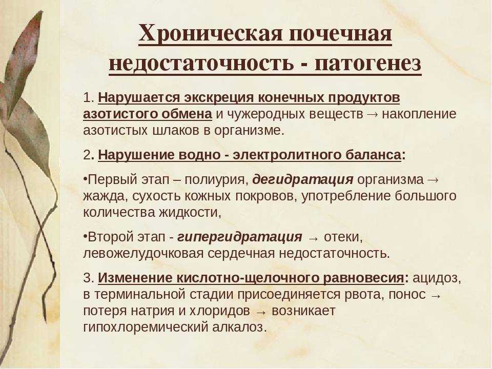 Почечная недостаточность у кошек - причины, симптомы и лечение синдрома | ваши питомцы