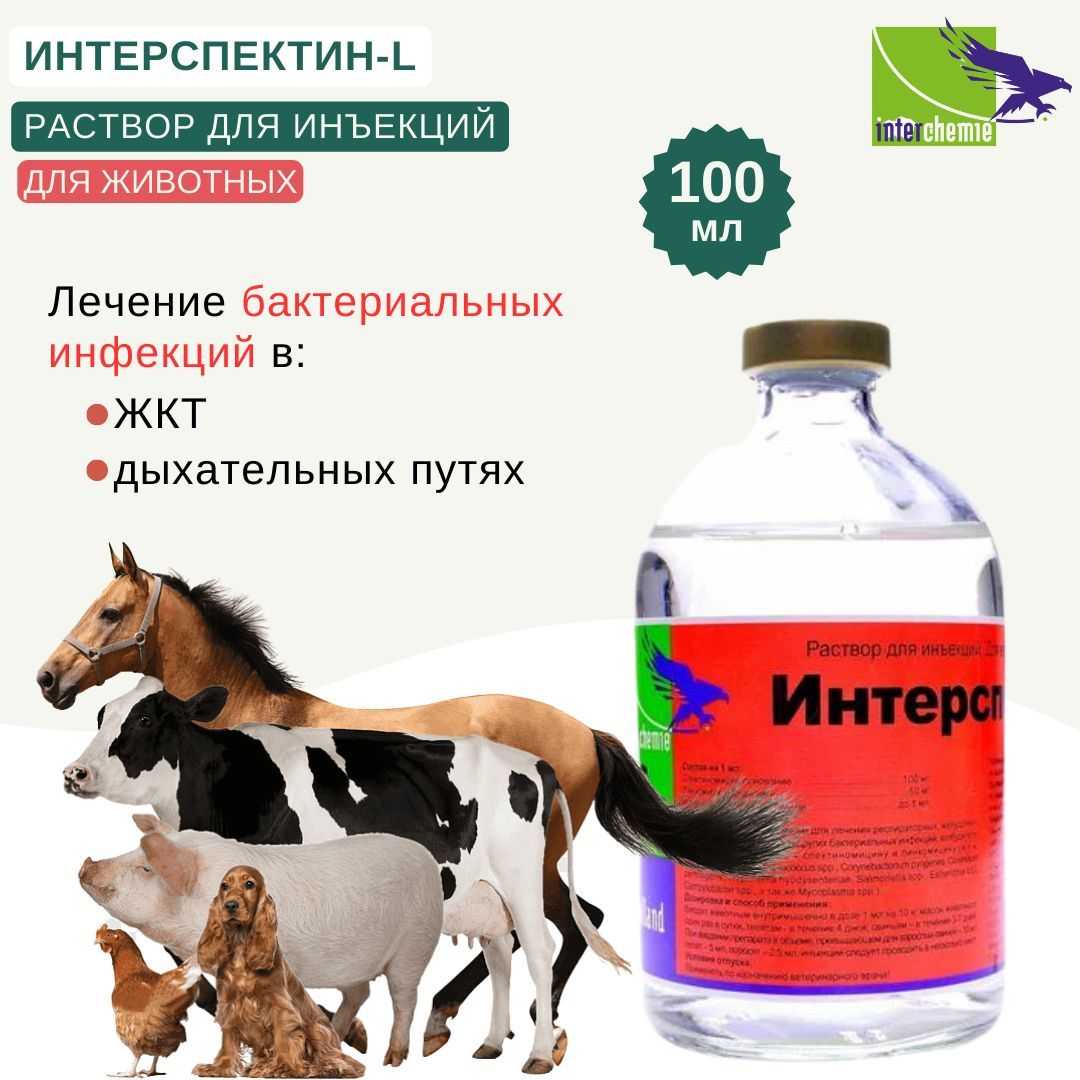 Энроксил для кошек: эффективный и популярный антибиотик для лечения заболеваний бактериального происхождения у животных - все о породах кошек с описанием, фотографиями и названиями.все о породах кошек с описанием, фотографиями и названиями.