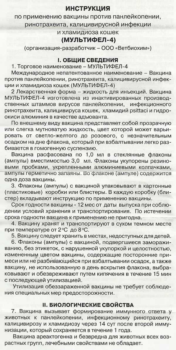 Прививки кошкам и котятам: правила и график вакцинации кошек, первая и последующая прививки, подготовка и рекомендации владельцам