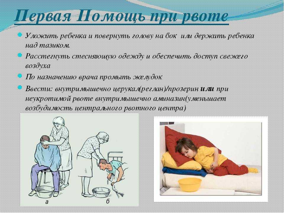 Рвота желчью у собаки - причины и лечение