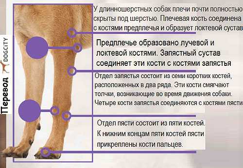 Болезни суставов