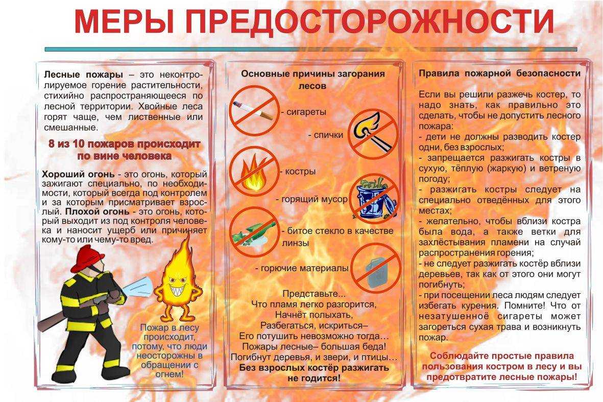Что делать, если кошка отравилась, возможные симптомы, первая помощь