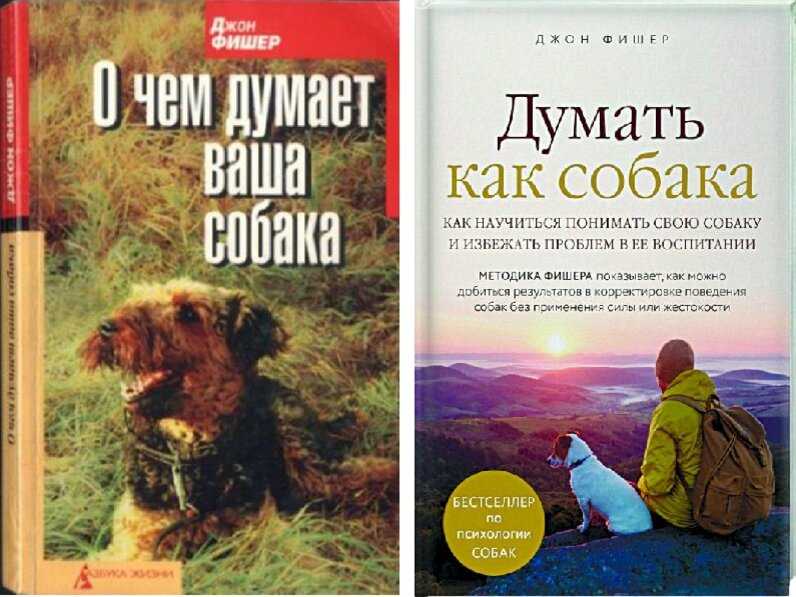 Все о собаках. происхождение. интересные факты. (фото) – соседки