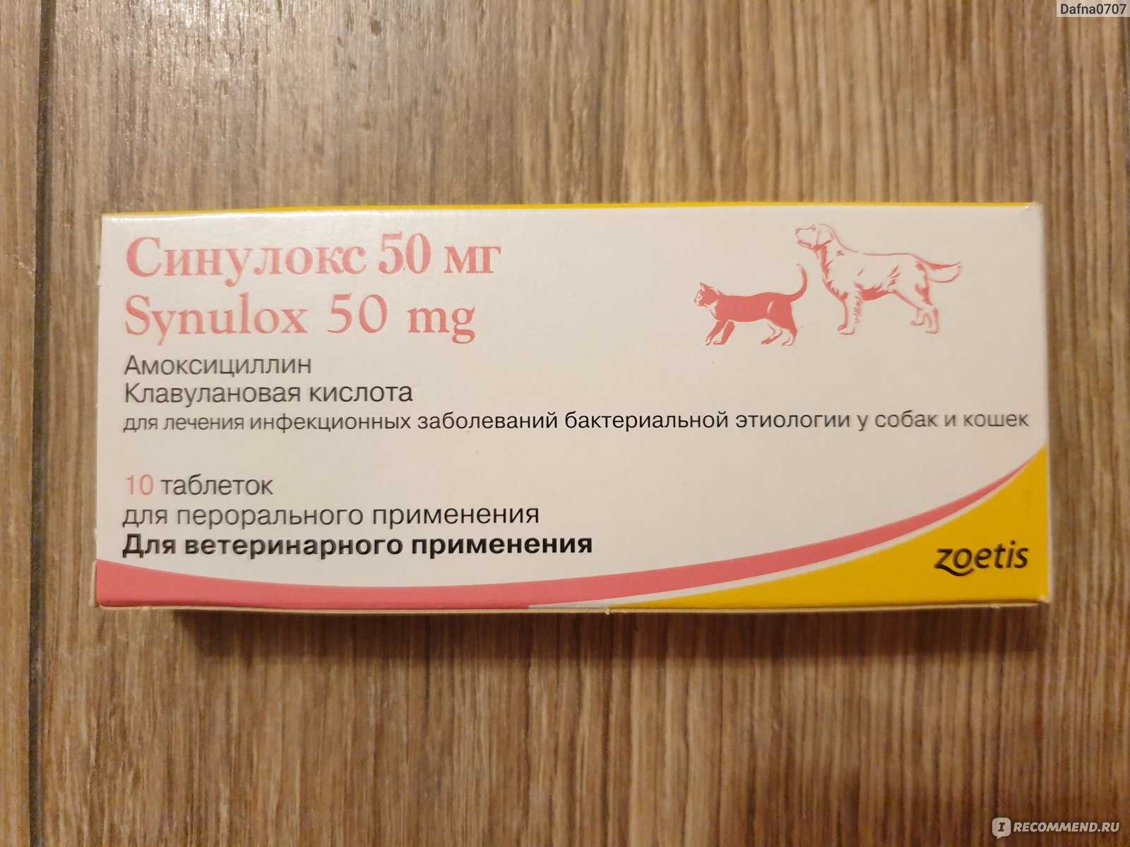 Инструкция по применению энрофлоксацина у кошек. рассчитайте оптимальную дозу препарата enrofloxacin. изучите широту антибактериального эффекта энрофлоксацина для кошек. улучшите эффективность терапии на 200%