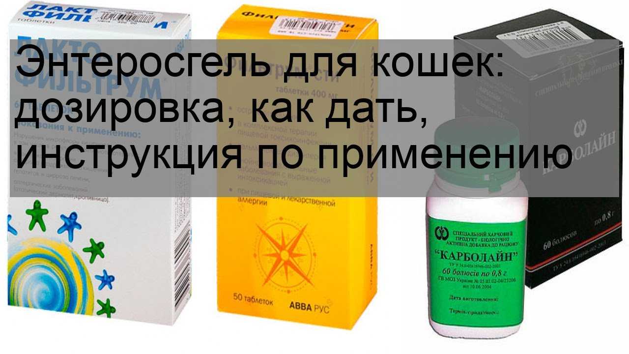 Как давать коту активированный уголь?