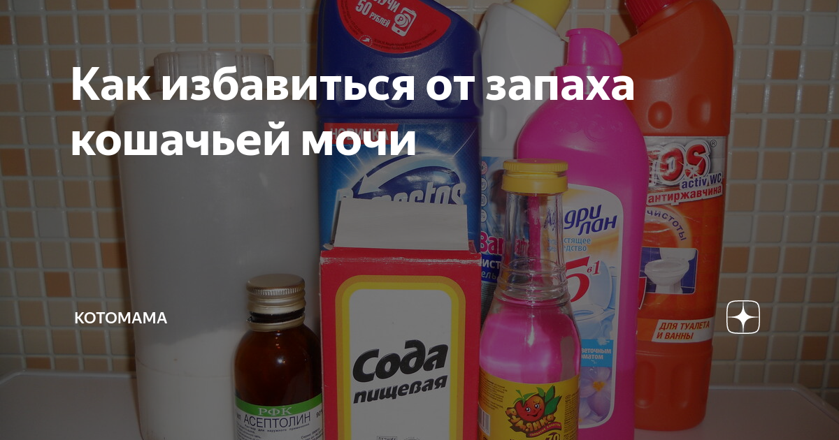Убираем следы и запахи кошачьих луж и меток