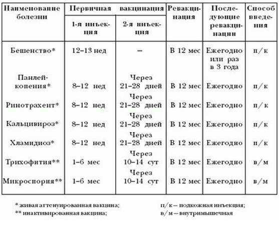 Вакцинация (прививки) кошкам: график по возрасту. какие прививки нужны кошке? | нпк "скифф"