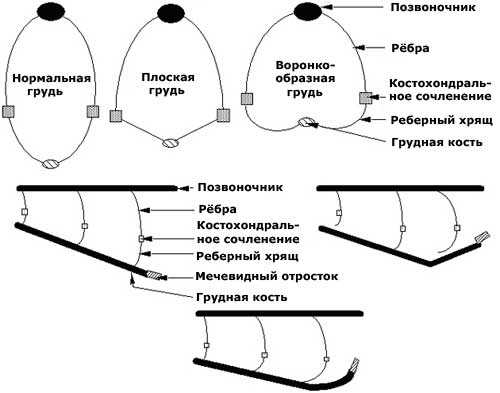 Болезни котят: симптомы и лечение
