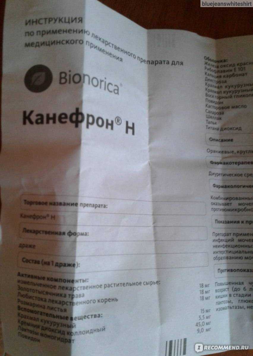Всё, что вам нужно знать, перед тем как давать канефрон собаке