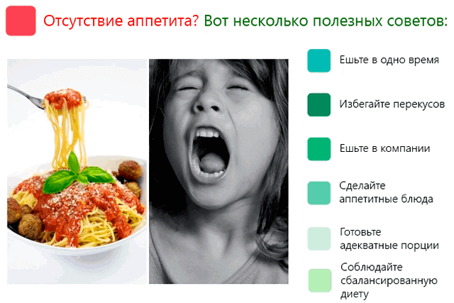 Кот не ест и не пьёт: тревожные симптомы, которые должны насторожить