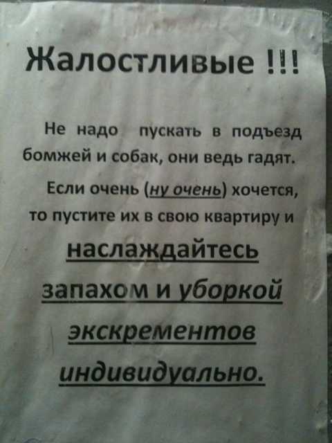 Как отвадить кошек с участка - простые способы