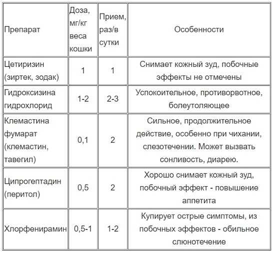 Аллергия на корм у кошек: как выявить и чем лечить